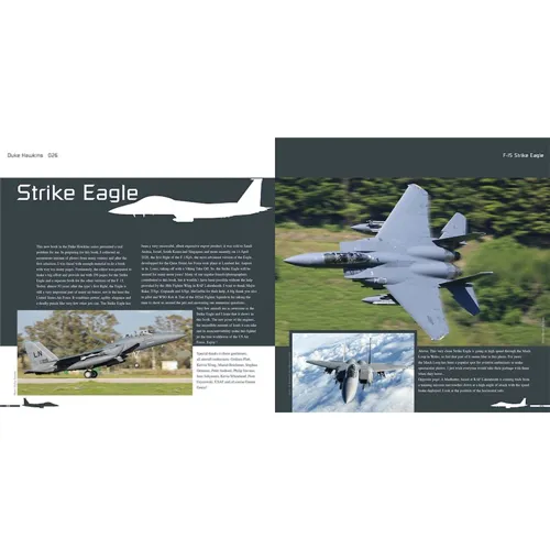 Duke Hawkins : Boeing F-15 E/K/SG Strike Eagle
