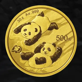 Panda chinois - 30 grammes